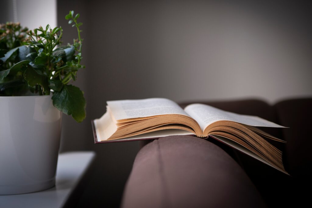 book opened next to houseplant in white pot 2026 01 05 05 58 28 utc